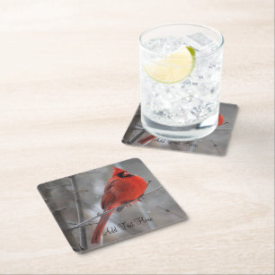Chunky Bright Red Male Cardinal in Winter Snow Square Paper Coaster