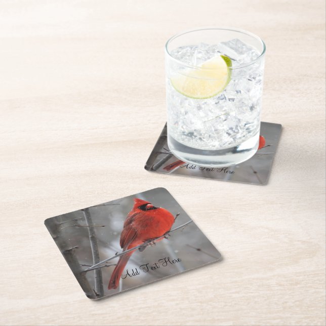 Chunky Bright Red Male Cardinal in Winter Snow Square Paper Coaster (Insitu)