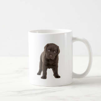 Chunky Chocolate Labrador Puppy Coffee Mug