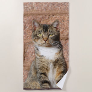Church Cat Beach Towel