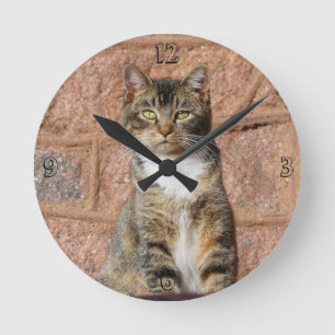 Church Cat  Round Clock