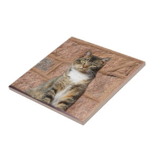 Church Cat Tile