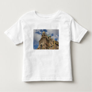 Church of the Saviour of Spilled Blood 4 Toddler T-Shirt
