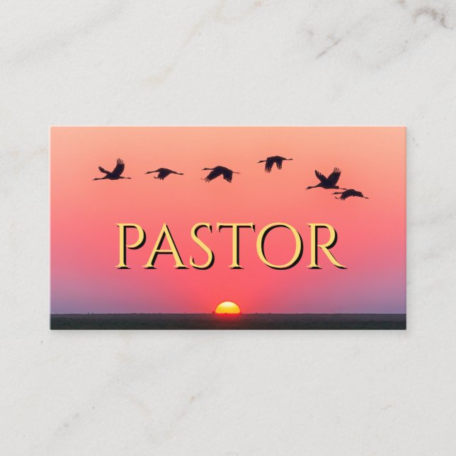 Church Pastor Sunset Birds Pink Christian Business Card (Front)