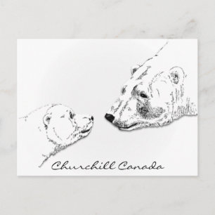 Churchill Canada Postcard Polar Bear Art Cards