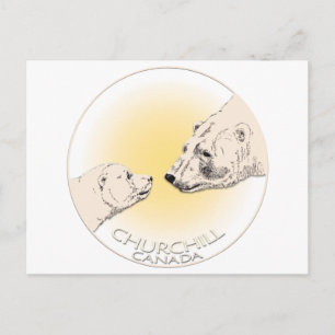 Churchill Canada Postcard Polar Bear Art Cards