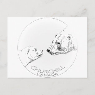 Churchill Souvenirs Polar Bear Art Shirts & Gifts Postcard