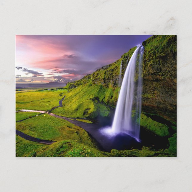 Chute d'eau Islande Postcard (Front)