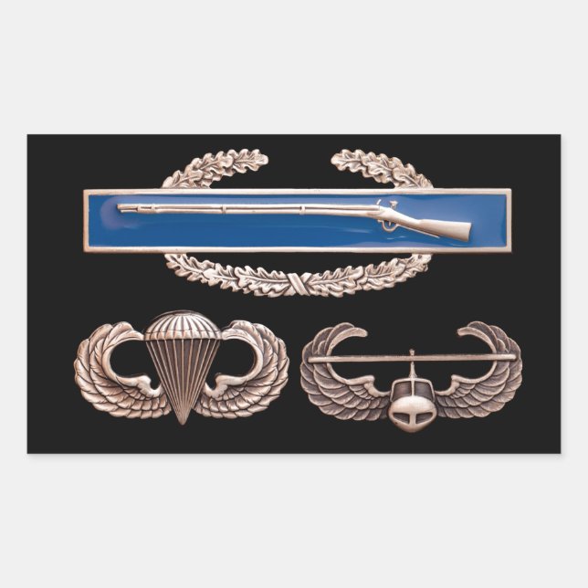 CIB Airborne Air Assault Rectangular Sticker (Front)