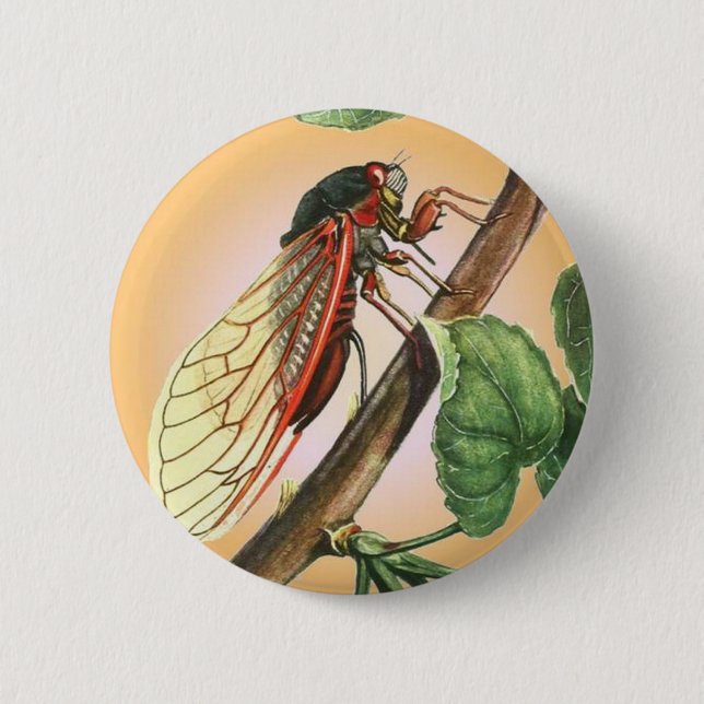 Cicada 6 Cm Round Badge (Front)