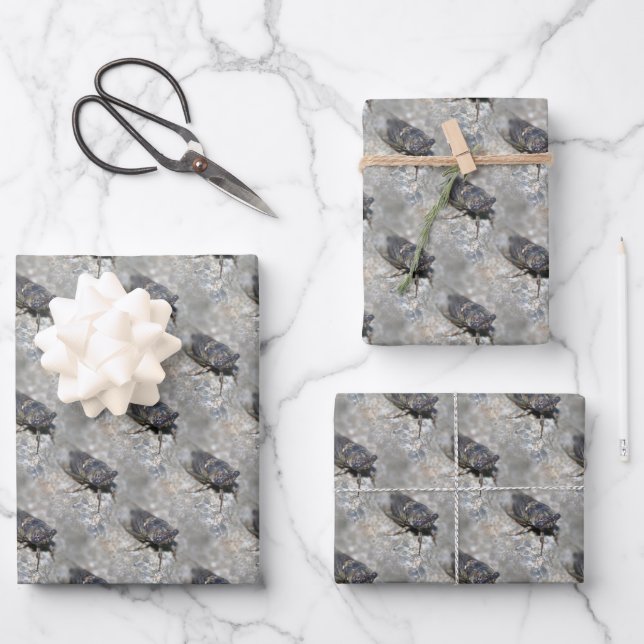 Cicada Bug Face Nature Pattern  Wrapping Paper Sheet (Front)