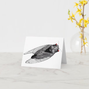 Cicada Card