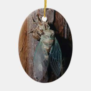Cicada dries his wings ceramic tree decoration