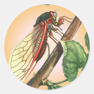 Cicada Insect Illustration Art Classic Round Sticker