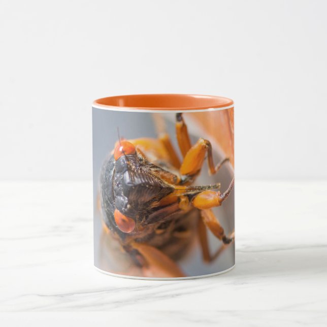 Cicada Mania Magicicada Orange Mug (Center)