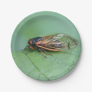 Cicada Photo Paper Plate