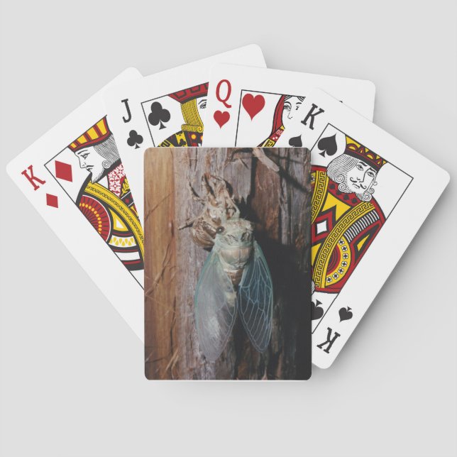 Cicada Playing Cards (Back)