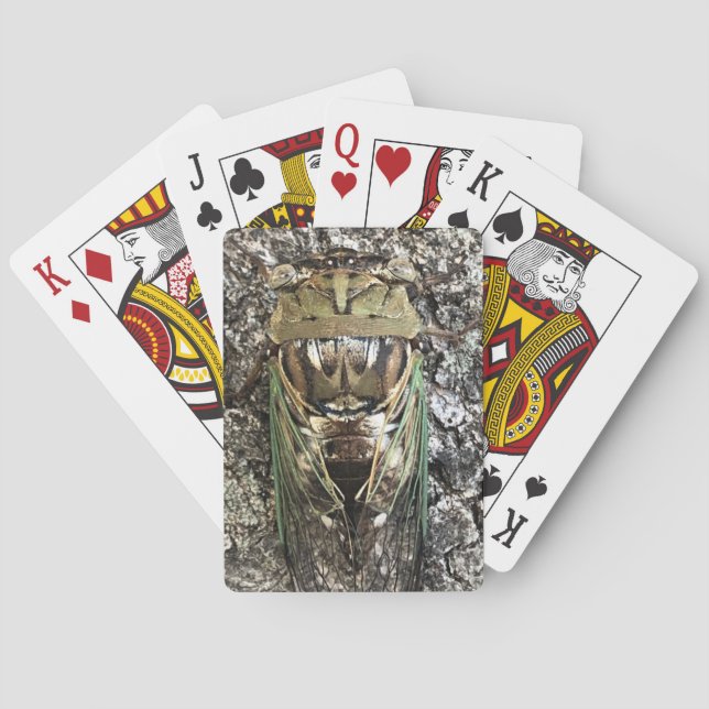 Cicada Playing Cards (Back)