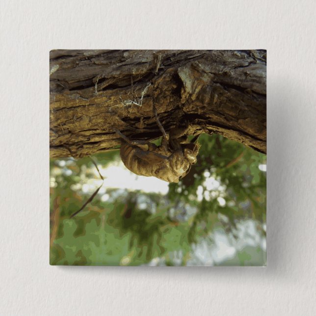 Cicada shell. It was in a hurry. 15 Cm Square Badge (Front)