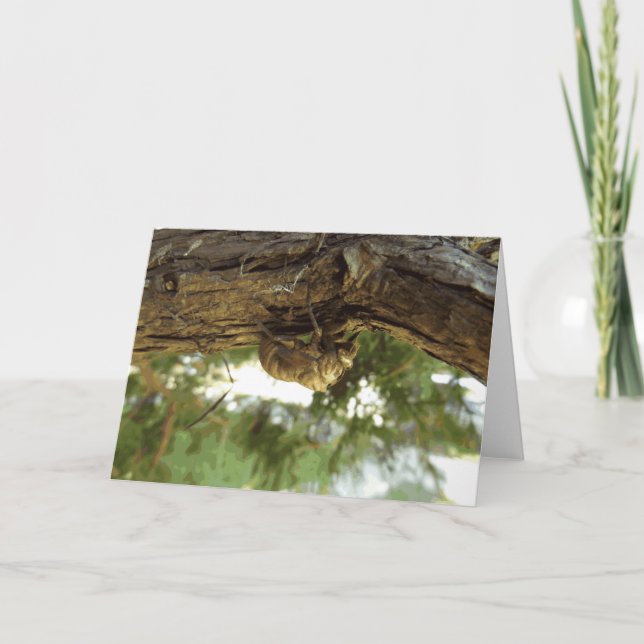 Cicada shell. It was in a hurry. Card (Front)
