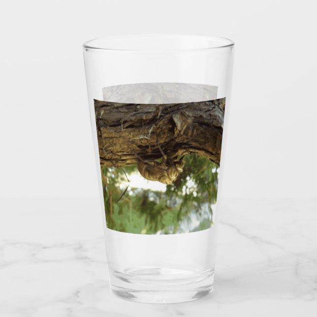 Cicada shell. It was in a hurry. Glass (Front)