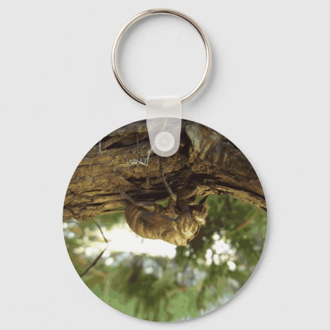 Cicada shell. It was in a hurry. Key Ring (Front)
