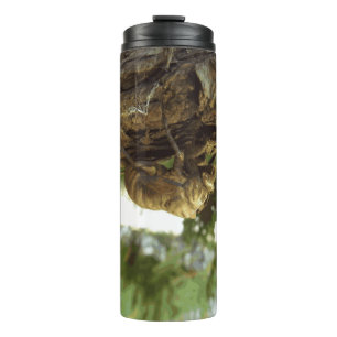 Cicada shell. It was in a hurry. Thermal Tumbler