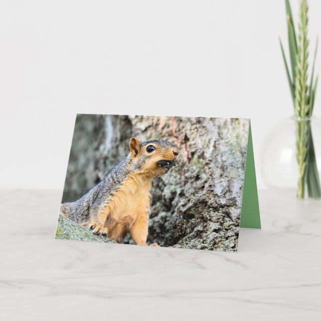 Cicada snacker card (Front)