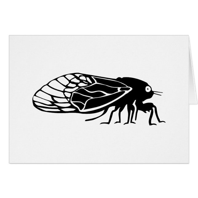 Cicadas - Cigales - Magicicadas - Summer Buzz (Front Horizontal)