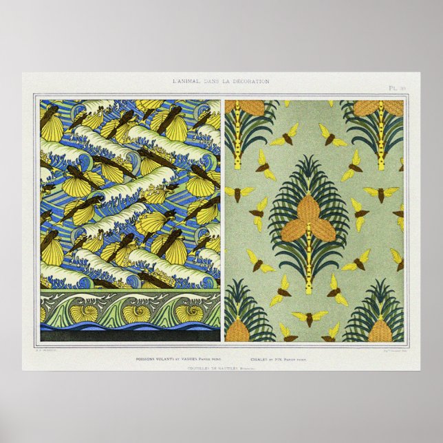 Cicadas, Flying Fish and Nautilus Shells Poster (Front)