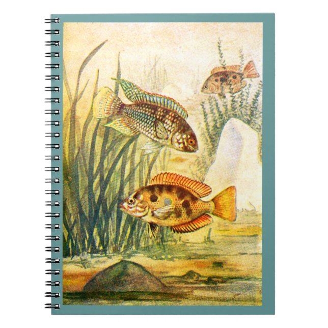 Cichlid Fish Spiral Notebook (Front)