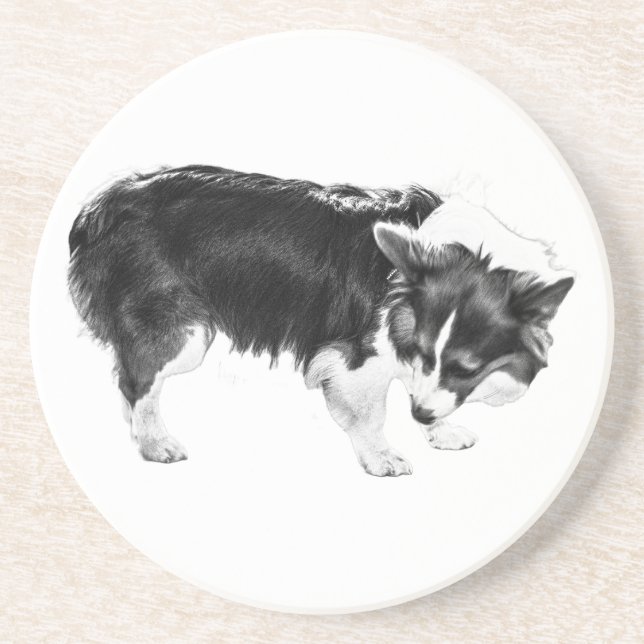 Cider Step Pause Coaster (Front)