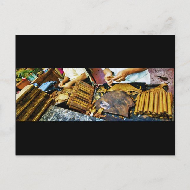 Cigar Making on Arthur Avenue postcard (Front)