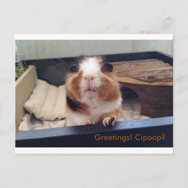 Cigar poop post card (Front)