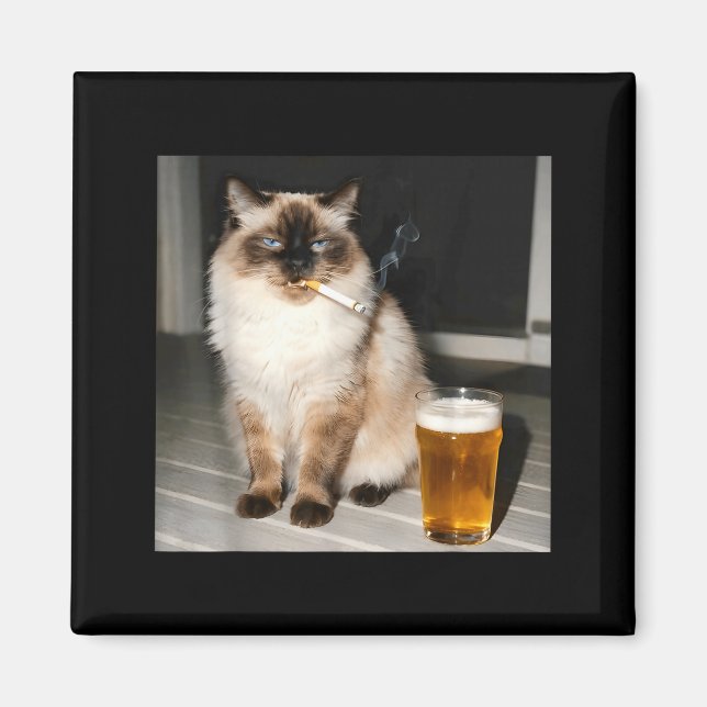 Cigarette Cat Funny Ragdoll Cat Smoking Kitten Bee Magnet (Front)