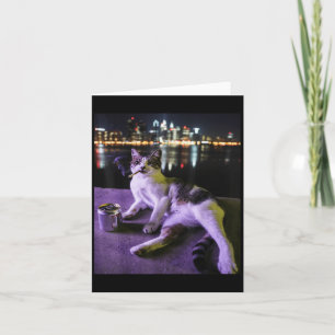 Cigarette Kitten Funny Smoking Cat Meme Stupid Bra Card