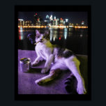 Cigarette Kitten Funny Smoking Cat Meme Stupid Bra Poster<br><div class="desc">Cigarette Kitten Funny Smoking Cat Meme Stupid Brainrot _1</div>