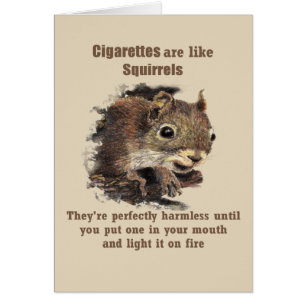 Cigarettes are like Squirrels Fun Quit Smoking