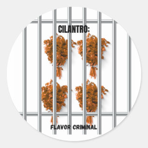 Cilantro: Flavor Criminal – Funny Anti-Cilantro Classic Round Sticker