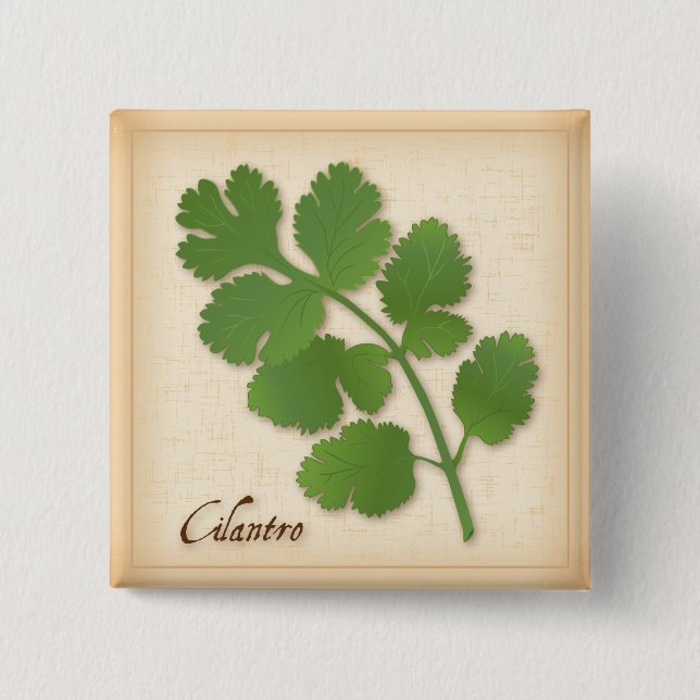 Cilantro Herb 15 Cm Square Badge (Front)