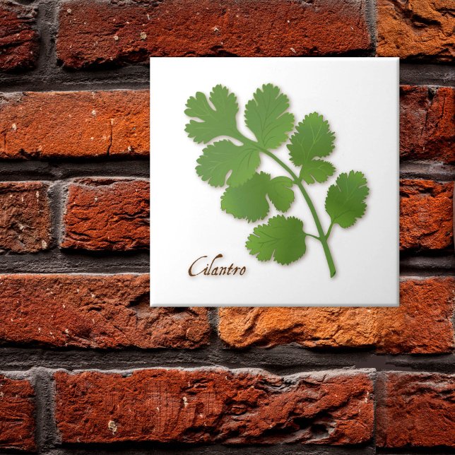 Cilantro Herb Ceramic Tile (Cilantro Herb Ceramic Tile, aromatic leaves with a distinctive flavor. )