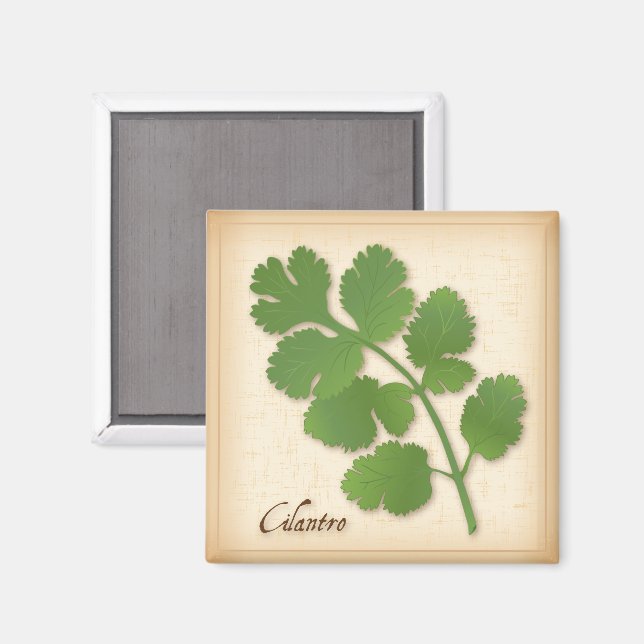 Cilantro Herb Magnet (Front/Back)