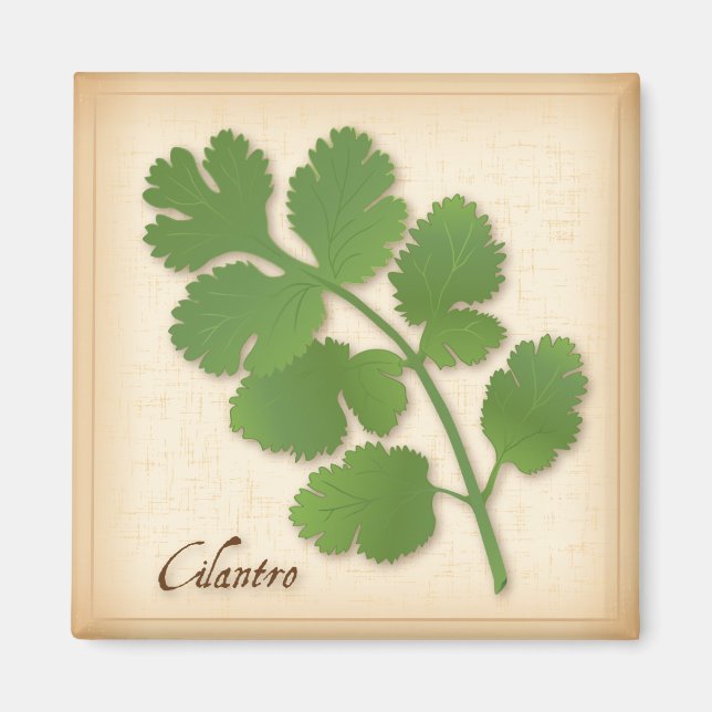 Cilantro Herb Magnet (Front)