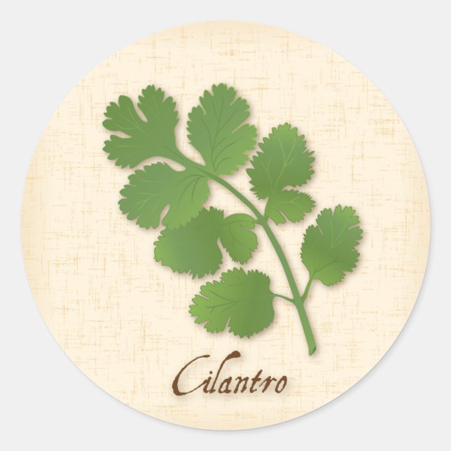 Cilantro Sticker (Front)