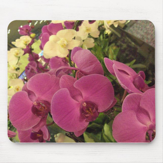 CIMG0482 MOUSE PAD (Front)