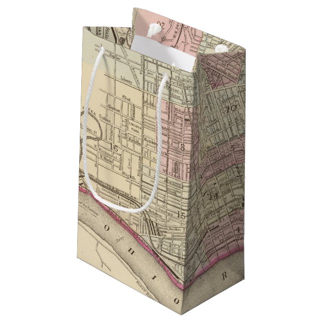 Cincinnati 2 small gift bag (Back Angled)