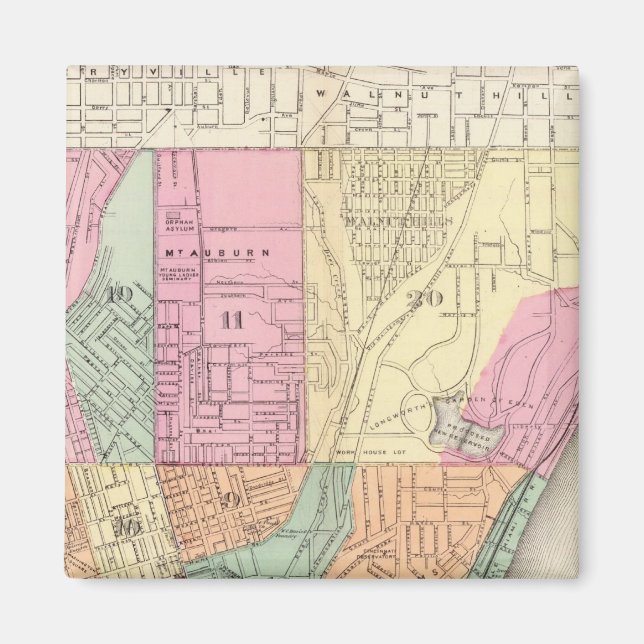 Cincinnati, Ohia Magnet (Front)