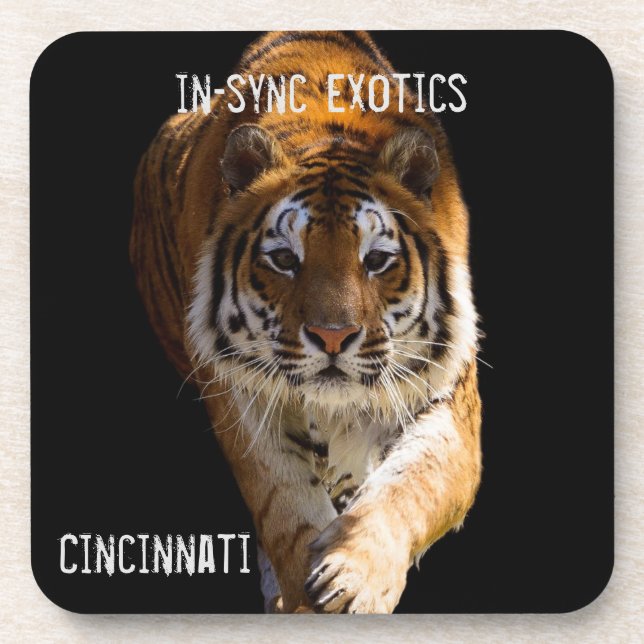 Cincinnati Tiger - Coaster (Front)
