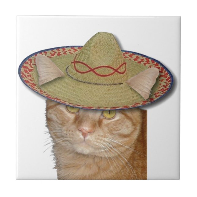 Cinco de Gato Tile (Front)