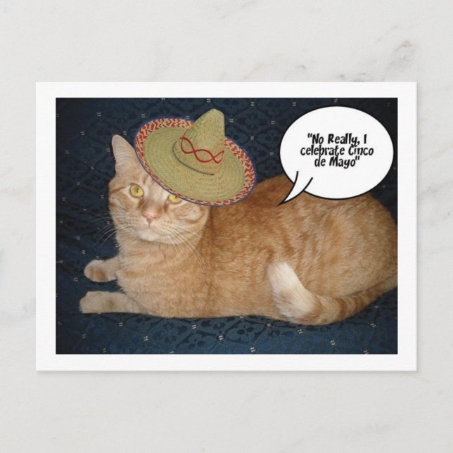 Cinco de Mayo Postcard (Front)
